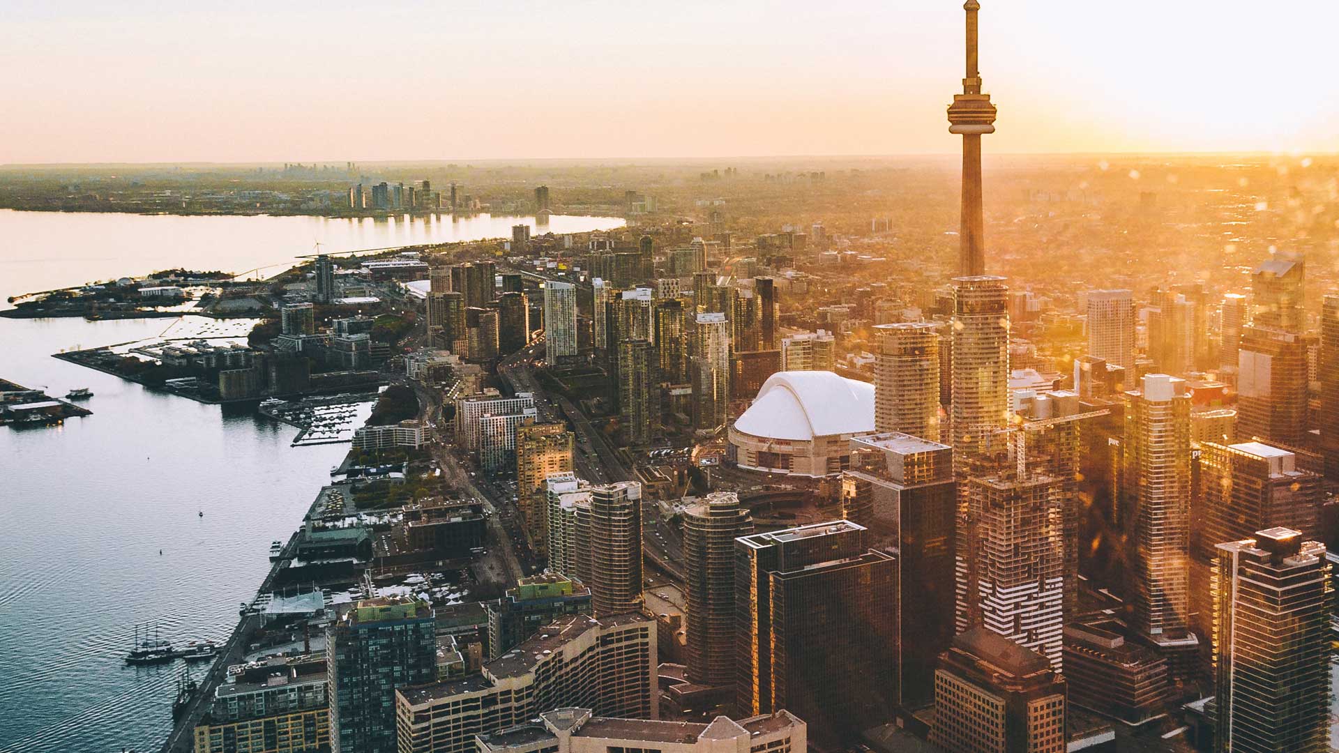 San Diego Area Guide