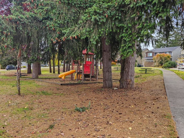 38-web-or-mls-20241105_130741