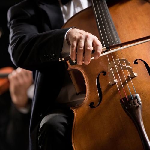 Symphony, Concerts, and Opera in Southwest Florida