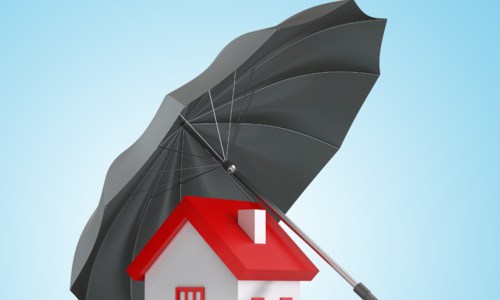 Insurance Outlook Brighter in 2025