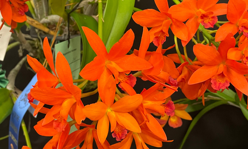 What's Happening in Naples and Southwest Florida This Weekend: June &hellip;