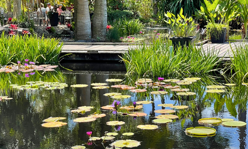 Things to Do in Naples and Southwest Florida &hellip;