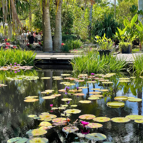 Things to Do in Naples and Southwest Florida This Weekend: June 19–21, 2026