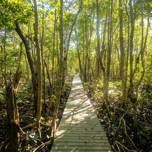 Things to Do in Naples and Southwest Florida This Weekend, August 7-9, 2026