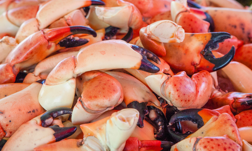 Things to Do in Naples and Southwest Florida This Weekend, &hellip;