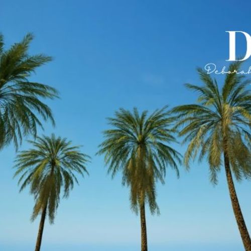 Discover West Palm Beach's Premier Real Estate Projects