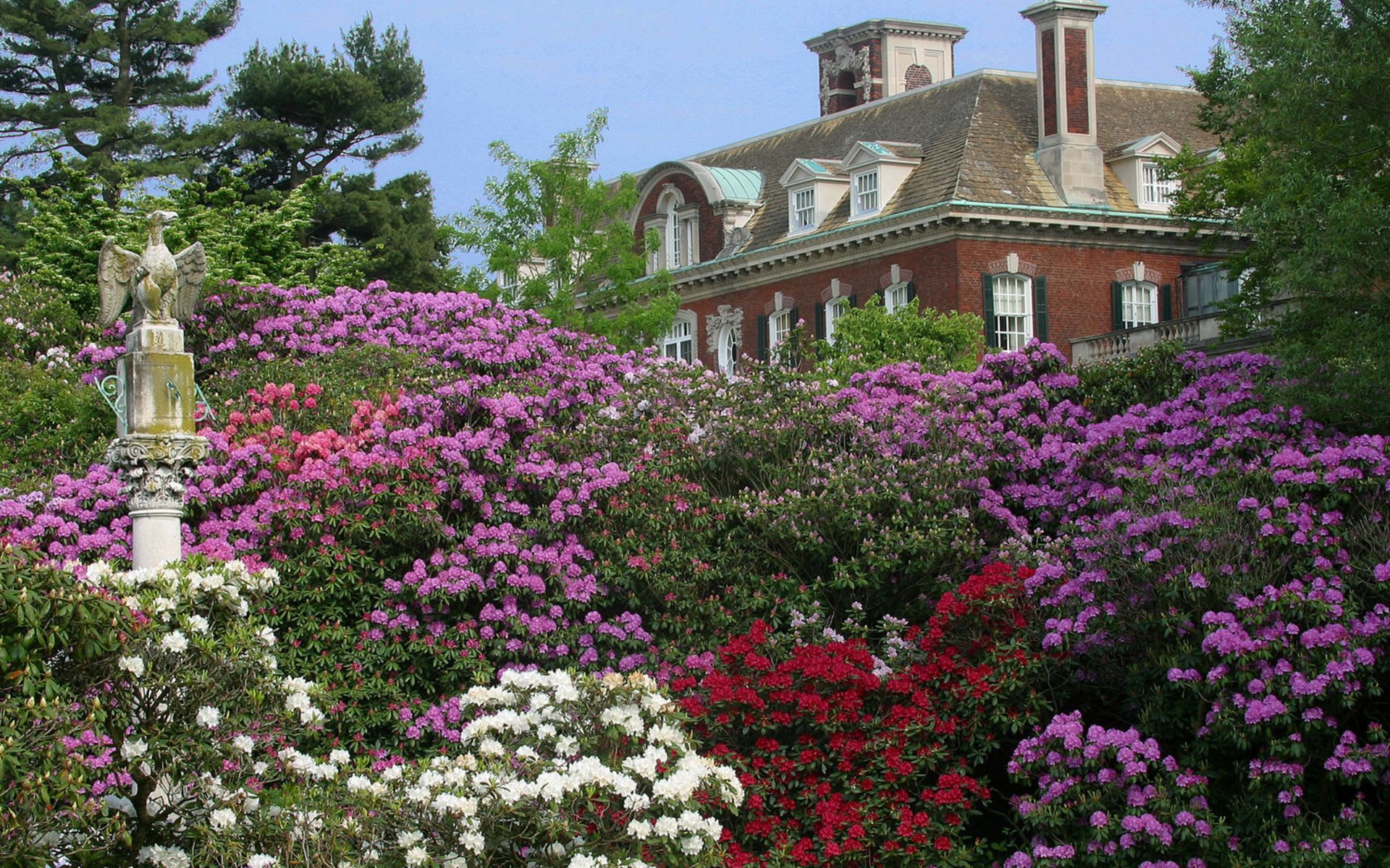 Old Westbury Scout Residential Team