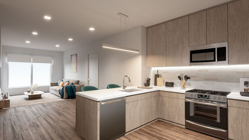 333-bryant-plaza-luxury-apartments-kitchen