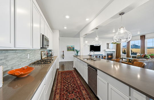 17-web-or-mls-19133 W 95th Ln17