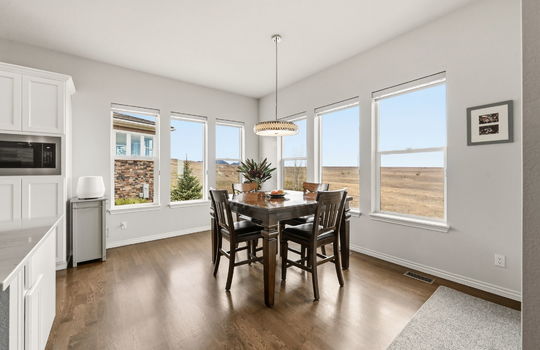 20-web-or-mls-16001 W 95th Ln20