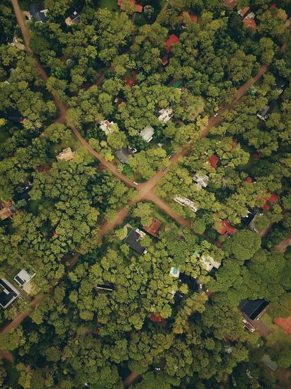 Raw Land