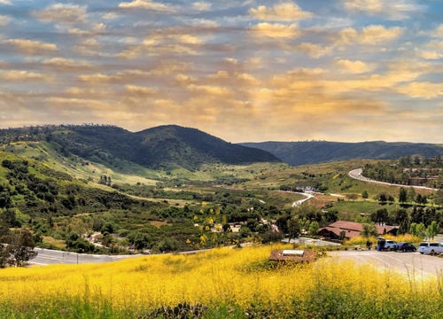 Aliso Viejo Wilderness park