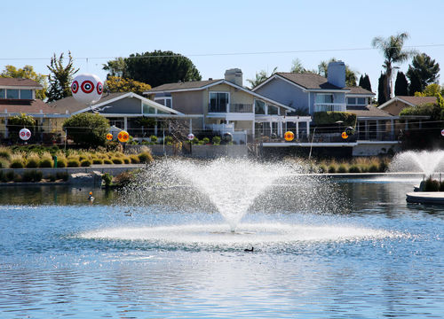 Lake Forest Houses on Lake