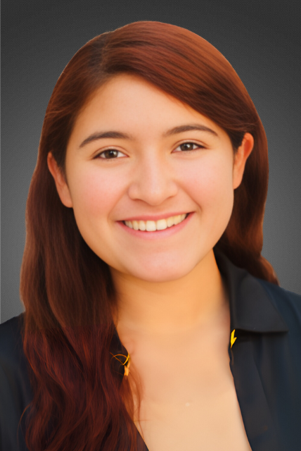 Ashley Hernandez Website