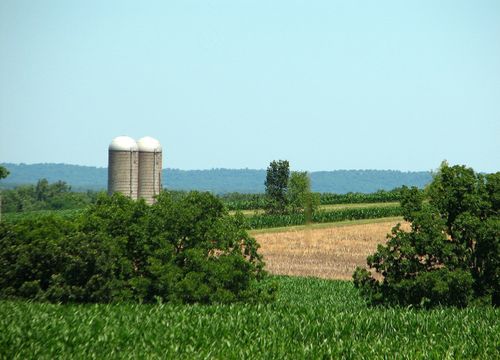 Elsberry MO Summer 10