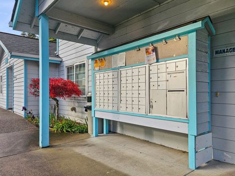 25-web-or-mls-20241114_142525