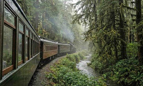 Best Parks Near JBLM for Outdoor Enthusiasts