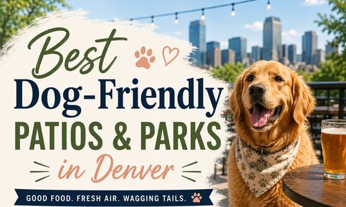 Best Dog-Friendly Patios and Parks