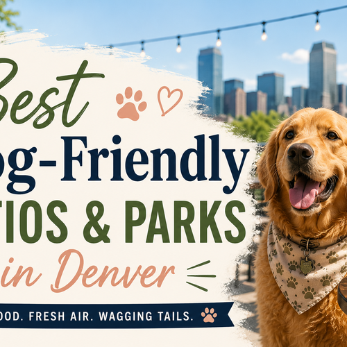 Best Dog-Friendly Patios and Parks