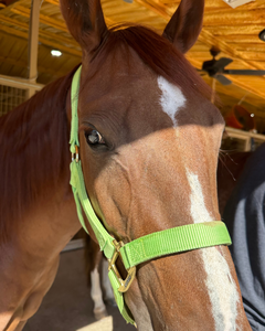 Laurie and her horse (1)