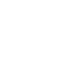 FIV-Logo-White