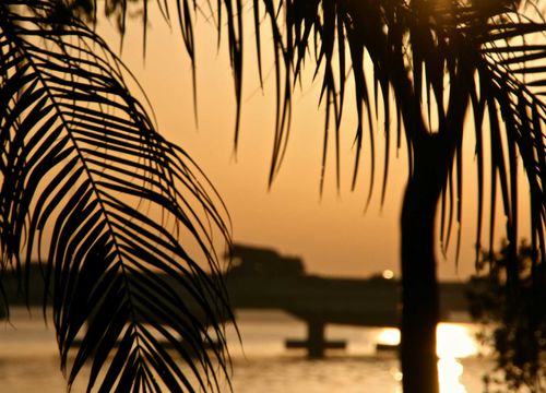 peter-hitzel-area-image-3