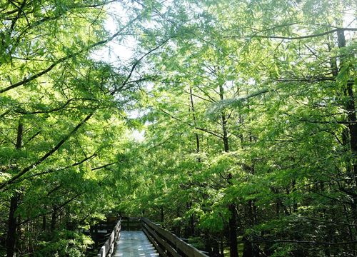 peter-hitzel-area-image-5