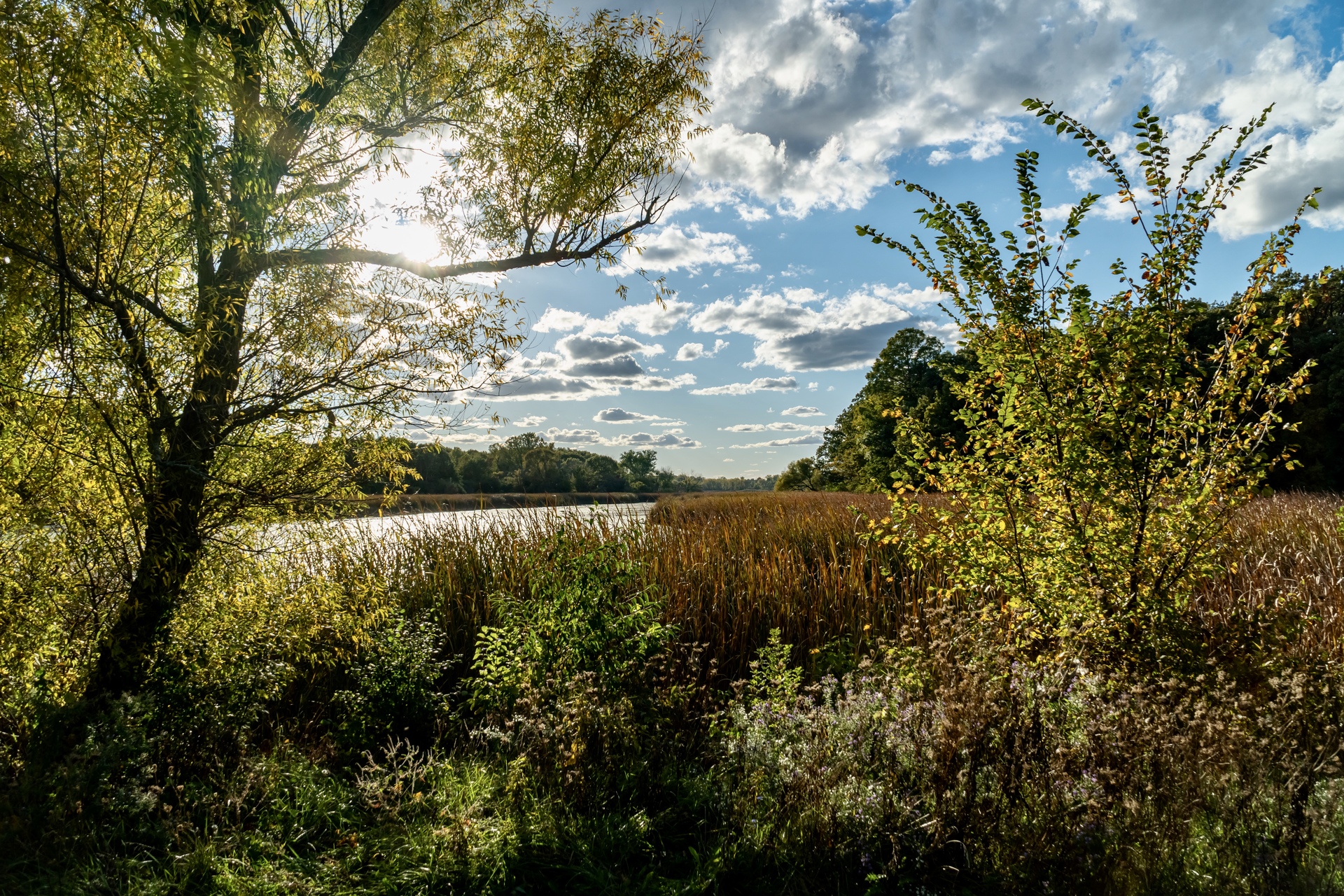 Shabbona Willow Real Estate