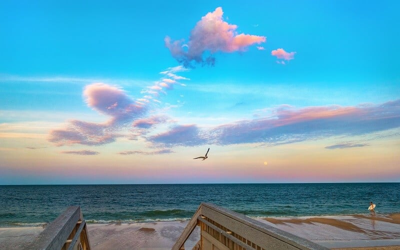 Coastal Delaware Owners