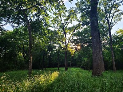 294318930_409584467861249_7129720068330206728_n