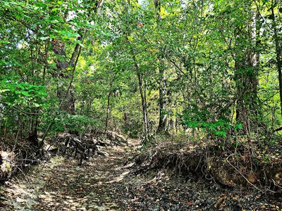 299356347_428681712618191_56002467364550175_n