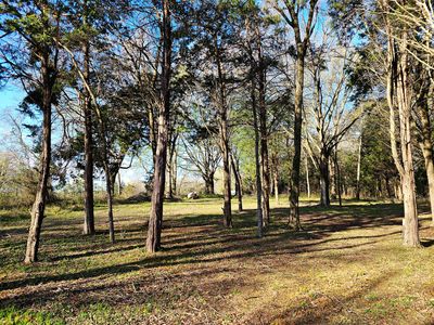 335472322_175175801623287_5246255566185214532_n