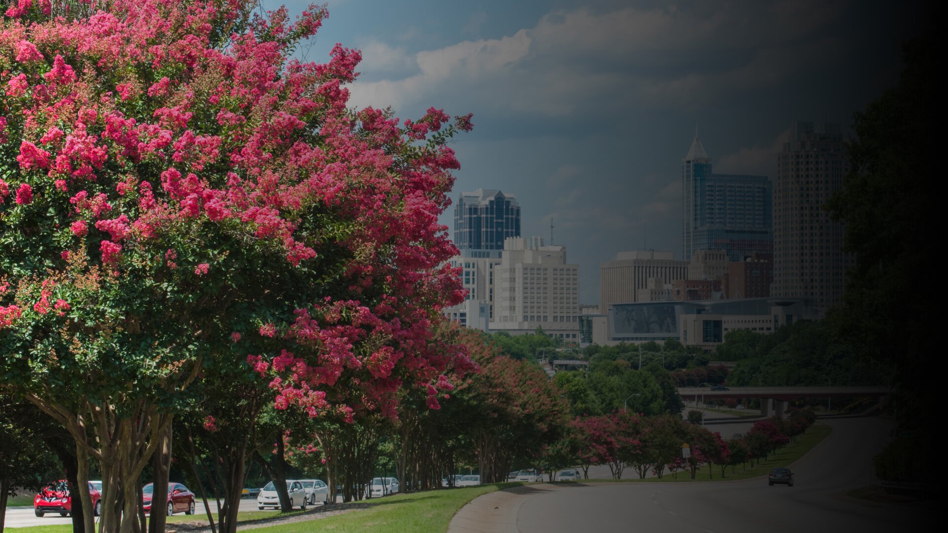 15 Things You MUST Know Before Moving to the Raleigh NC