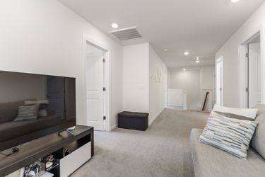 CY1A1886 Medium Large