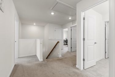 CY1A1891 Medium Large