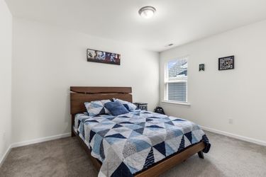 CY1A1916 Medium Large