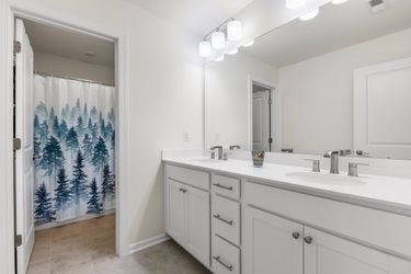 CY1A1925 Medium Large