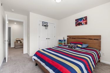 CY1A1936 Medium Large