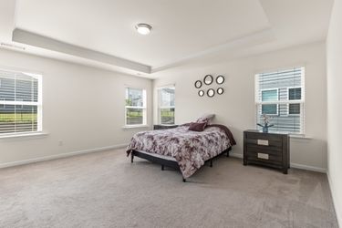 CY1A1946 Medium Large