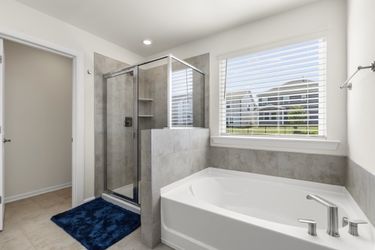 CY1A1961 Medium Large