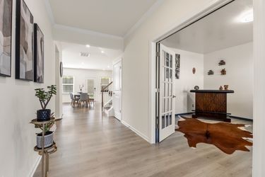 CY1A1971 Medium Large