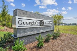 Georgias landing