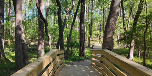 Screen Shot 2026-04-17 at 11.23.39 AM