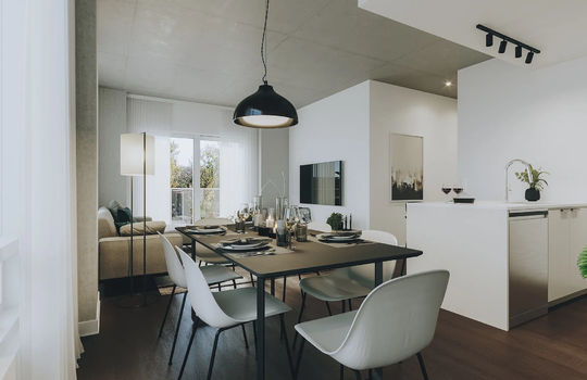 2180MaisonneuveEst_CAM_008