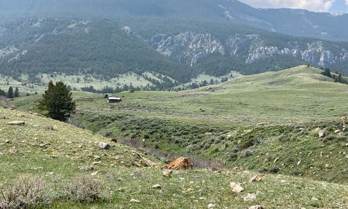 Selling Your Home in NW Wyoming: What Sell…