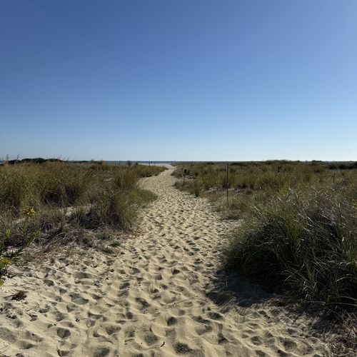 Is Now a Good Time to Buy a House in Monmouth County, NJ?