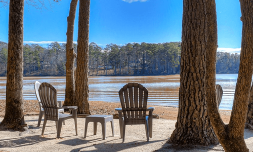 What is the Weather Really Like in Savanna…