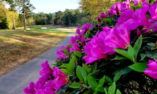 Spring in Savannah Lakes Village