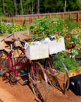 20220829_150758 (1) (1)