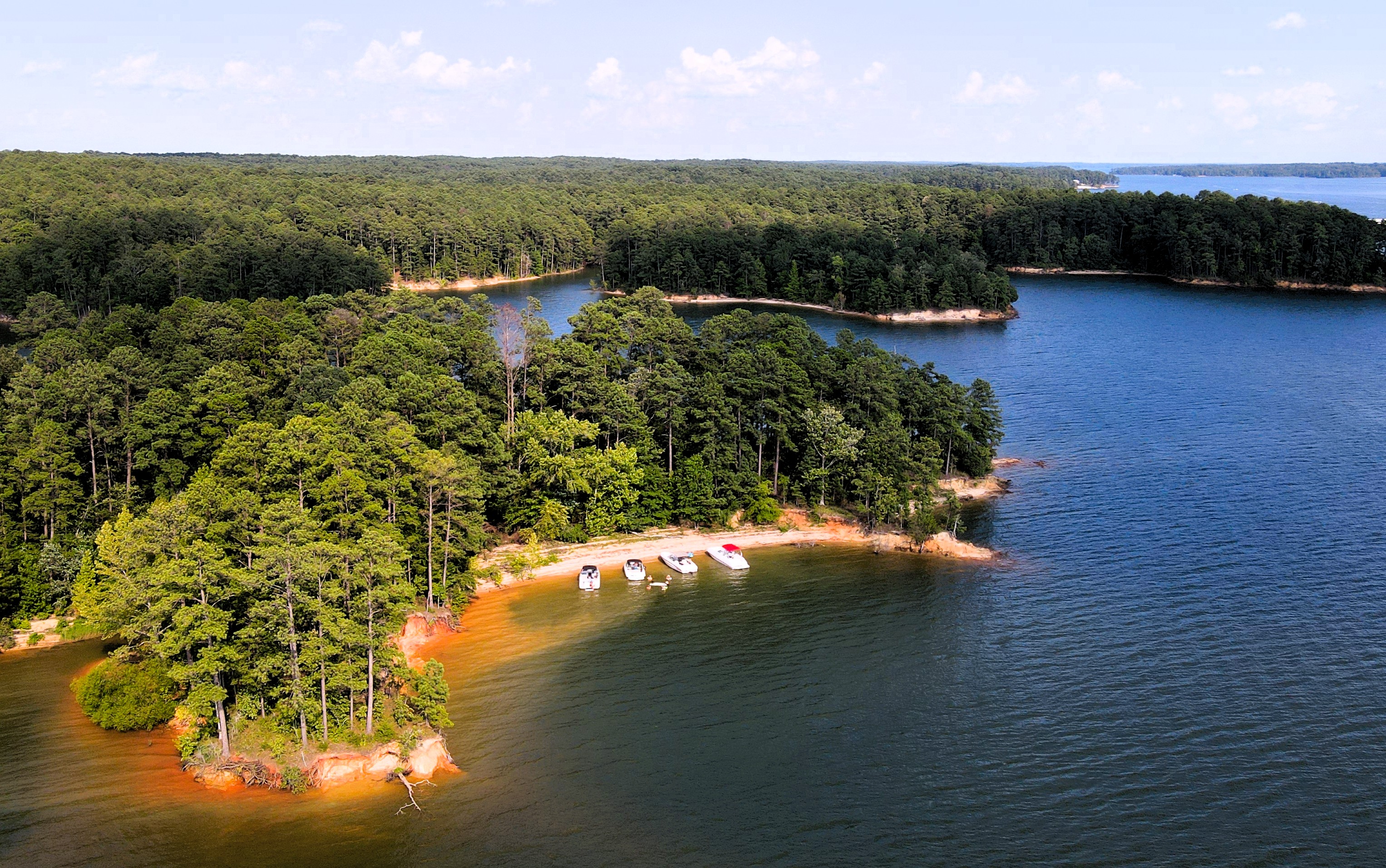 Lake Thurmond shoreline in McCormick County South Carolina